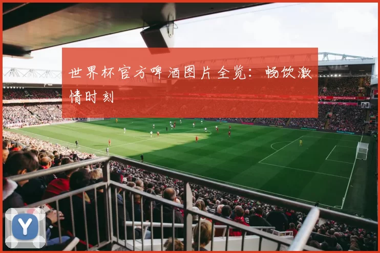 世界杯官方啤酒图片全览:畅饮激情时刻