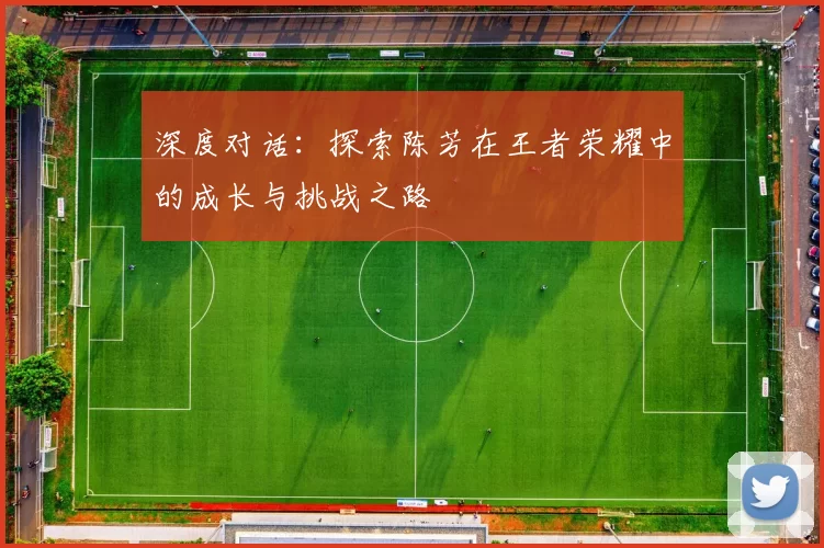 深度对话：探索陈芳在王者荣耀中的成长与挑战之路