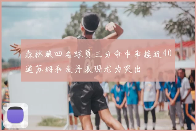 森林狼四名球员三分命中率接近40道苏姆和麦丹表现尤为突出