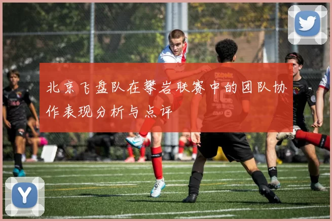 北京飞盘队在攀岩联赛中的团队协作表现分析与点评