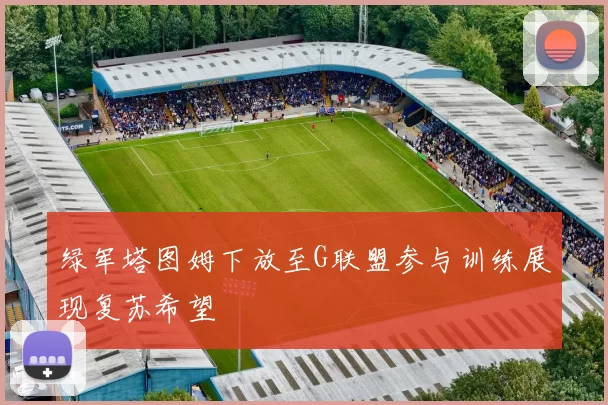 绿军塔图姆下放至G联盟参与训练展现复苏希望