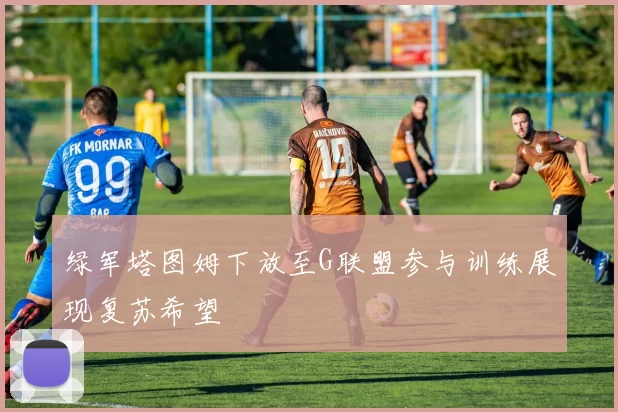 绿军塔图姆下放至G联盟参与训练展现复苏希望