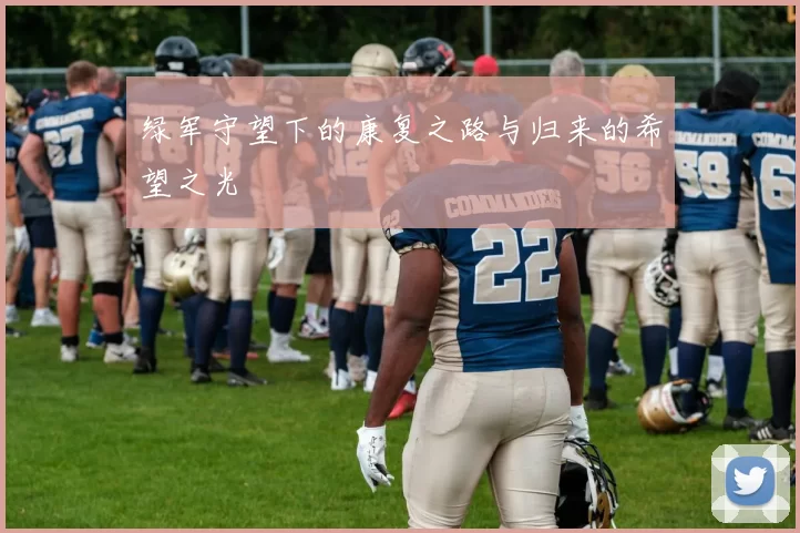 绿军守望下的康复之路与归来的希望之光