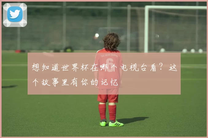 想知道世界杯在哪个电视台看?这个故事里有你的记忆