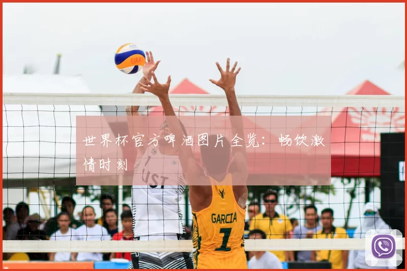 世界杯官方啤酒图片全览:畅饮激情时刻