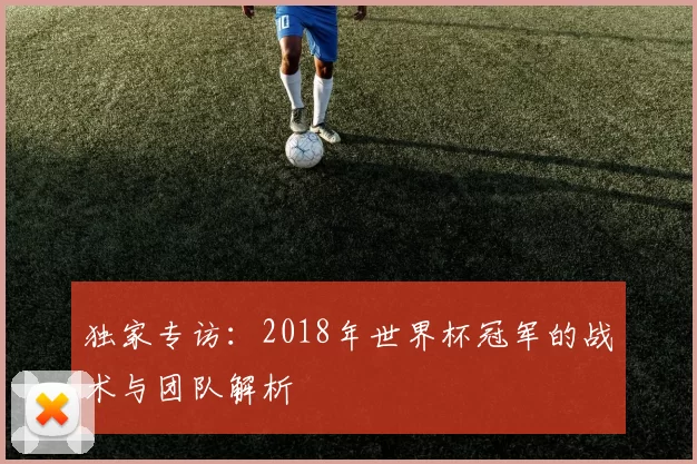 独家专访：2018年世界杯冠军的战术与团队解析