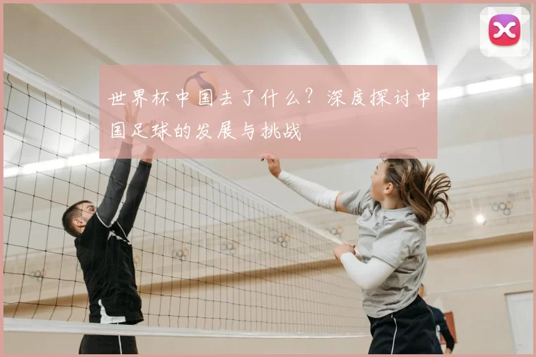 世界杯中国去了什么?深度探讨中国足球的发展与挑战