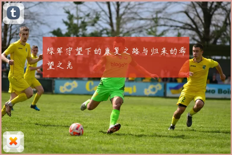 绿军守望下的康复之路与归来的希望之光