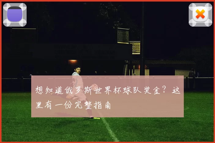 想知道俄罗斯世界杯球队奖金?这里有一份完整指南