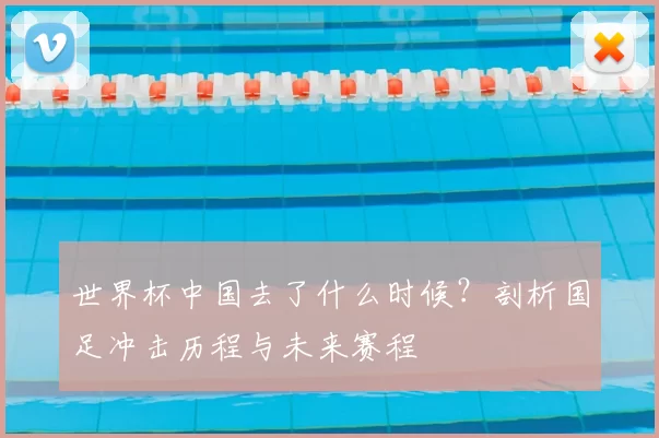 世界杯中国去了什么时候？剖析国足冲击历程与未来赛程
