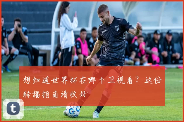 想知道世界杯在哪个卫视看？这份转播指南请收好