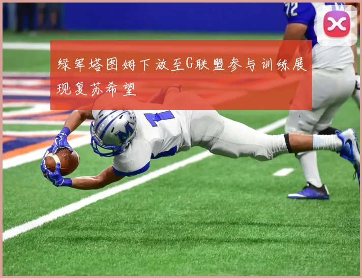绿军塔图姆下放至G联盟参与训练展现复苏希望