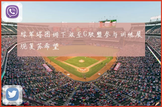 绿军塔图姆下放至G联盟参与训练展现复苏希望
