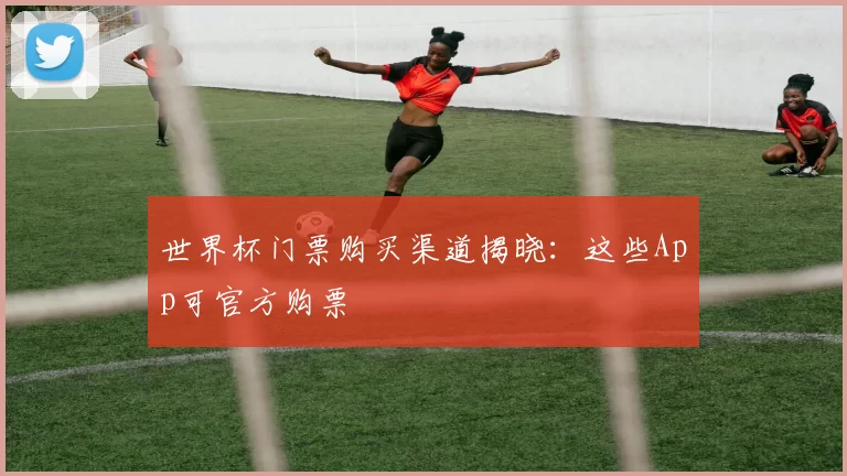 世界杯门票购买渠道揭晓：这些App可官方购票