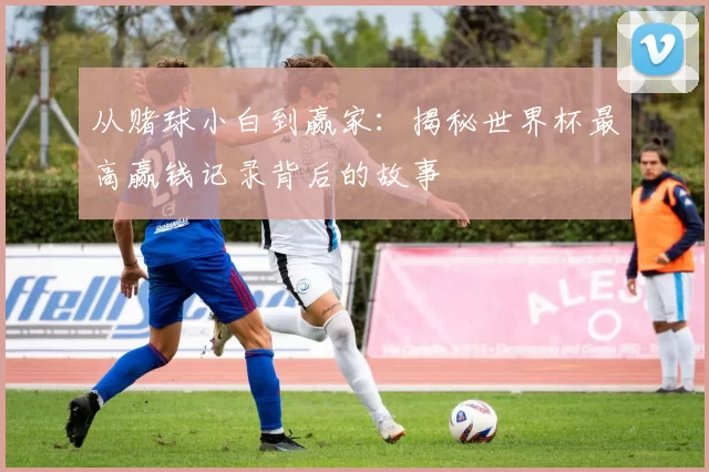 从赌球小白到赢家：揭秘世界杯最高赢钱记录背后的故事
