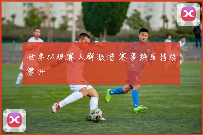 世界杯观赛人群激增 赛事热度持续攀升