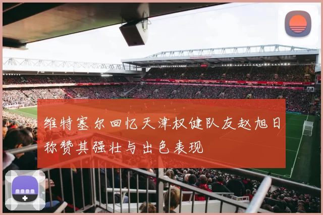 维特塞尔回忆天津权健队友赵旭日称赞其强壮与出色表现