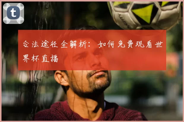 合法途径全解析：如何免费观看世界杯直播