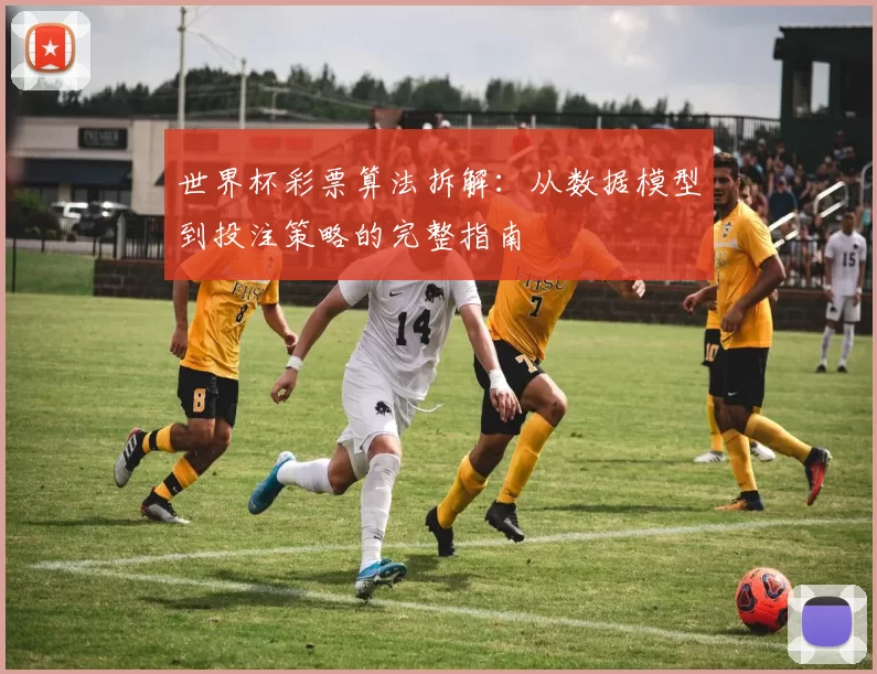 世界杯彩票算法拆解：从数据模型到投注策略的完整指南