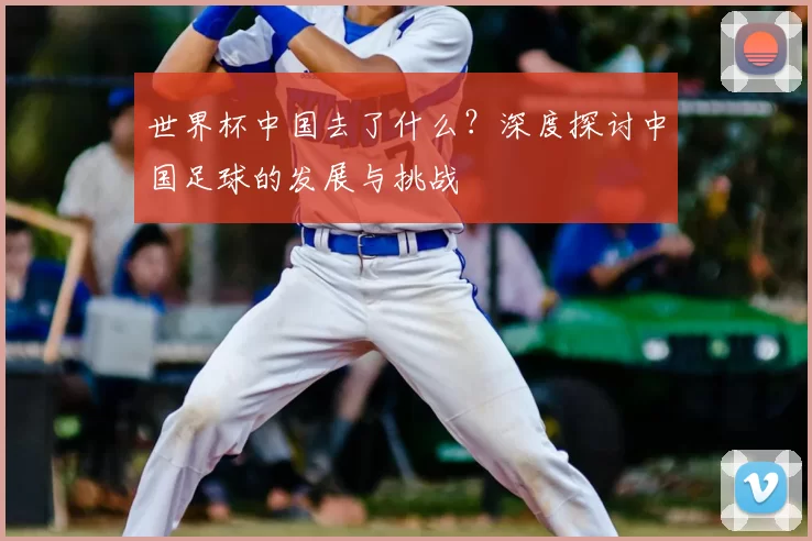 世界杯中国去了什么?深度探讨中国足球的发展与挑战